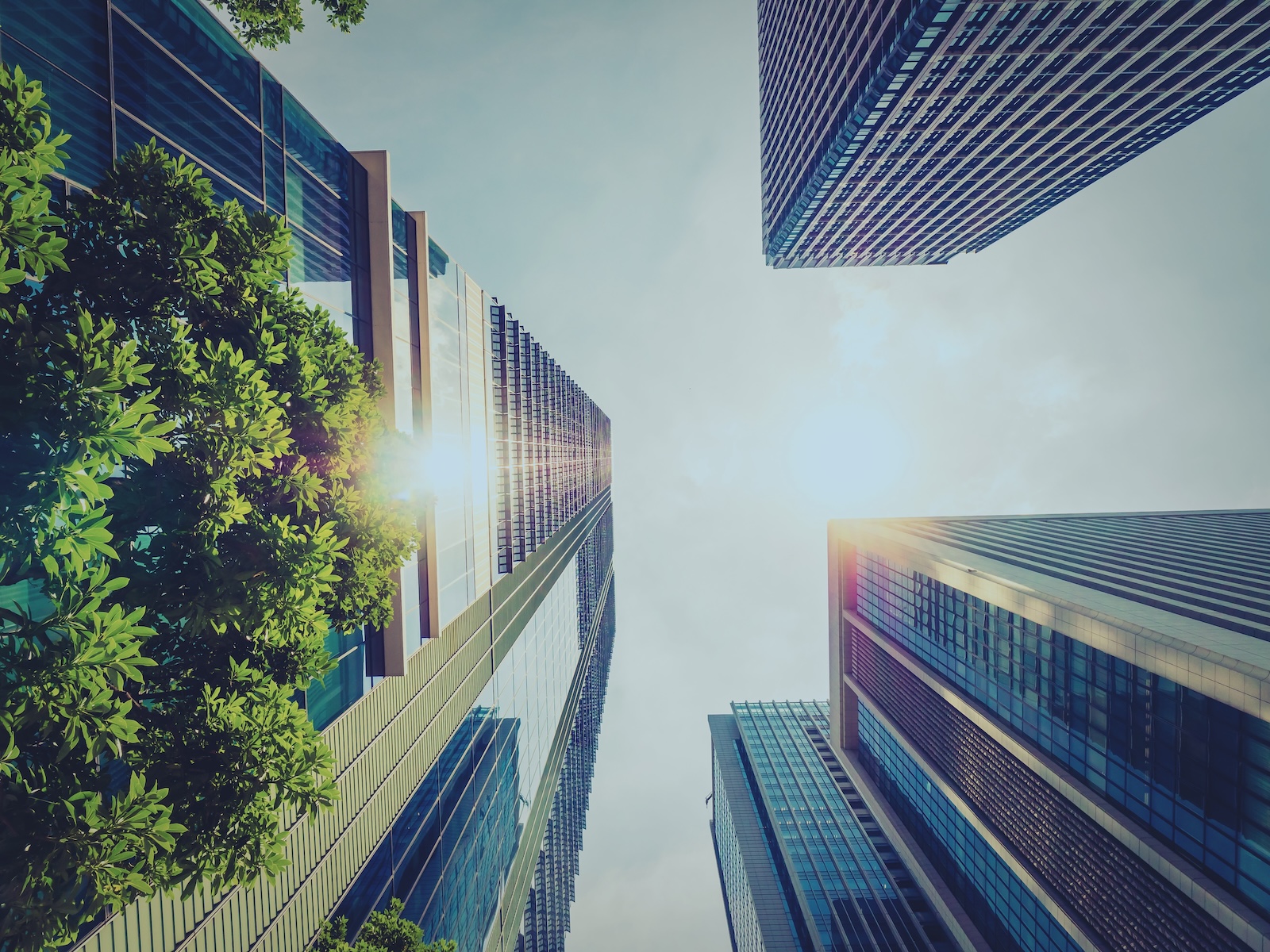 永續財務連結邏輯